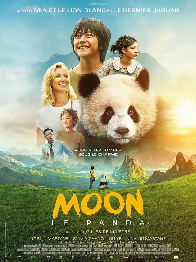 Poster du film Moon Le Panda