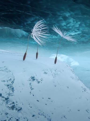 Poster du film Planètes