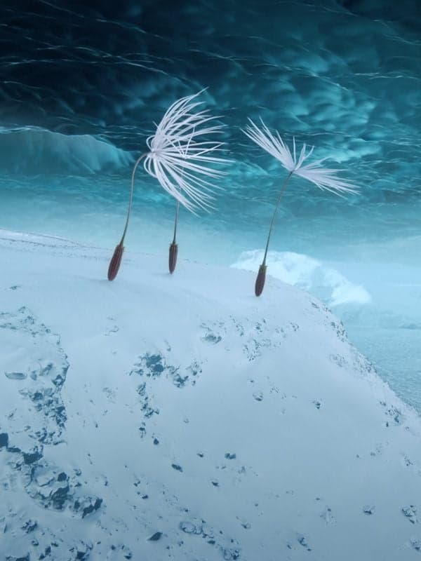 Poster du film Planètes