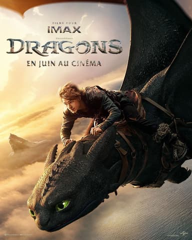 Poster du film Dragons