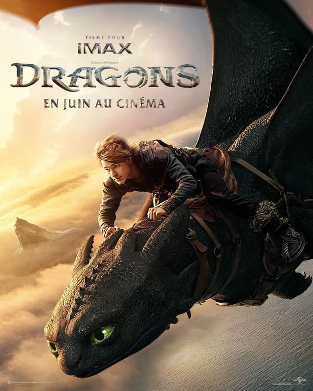 Poster du film Dragons