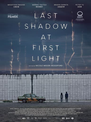 Poster du film Last Shadow at First Light