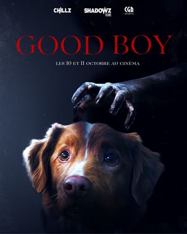 Poster du film Good Boy