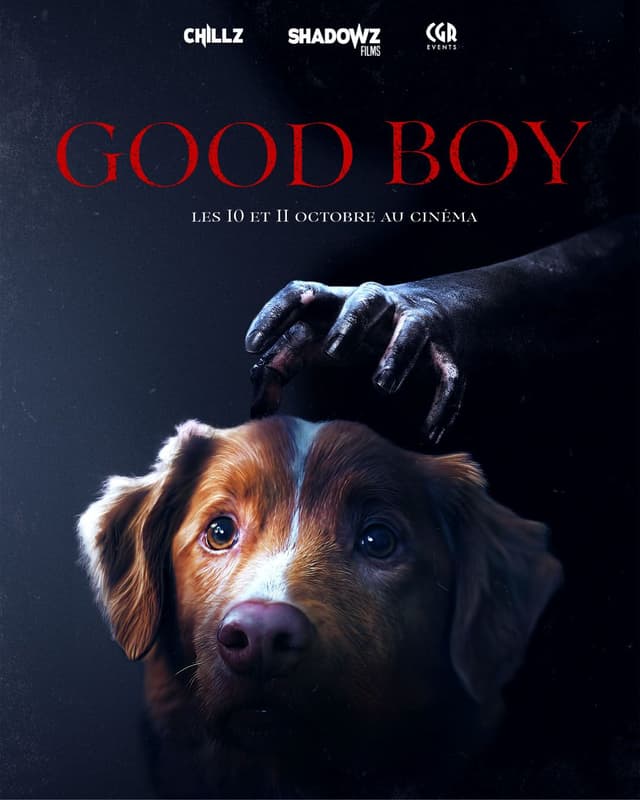 Poster du film Good Boy