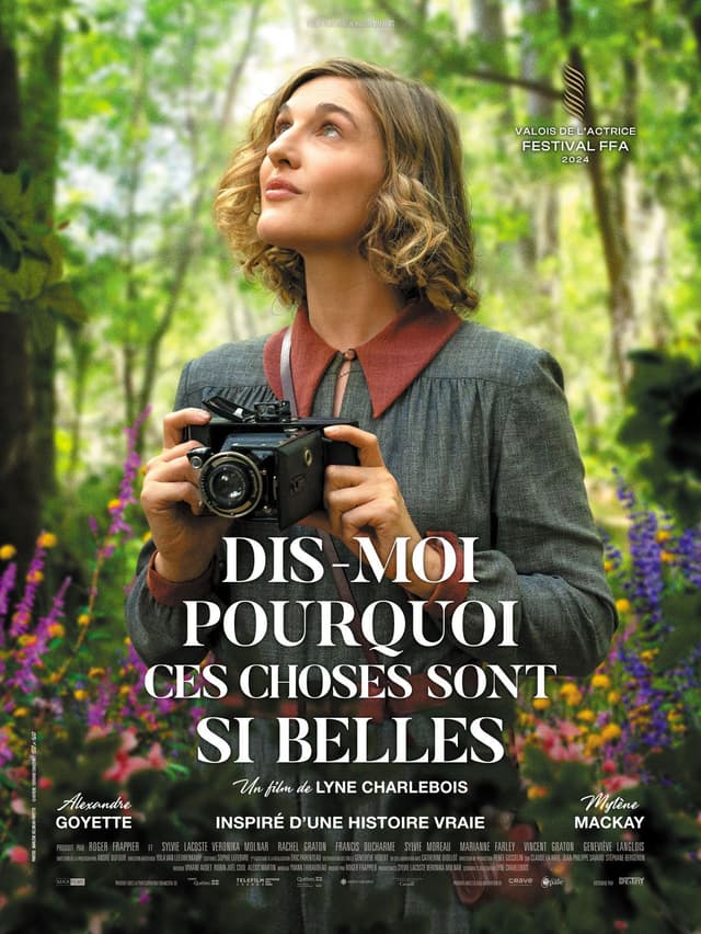 Poster du film Dis-moi pourquoi ces choses sont si belles
