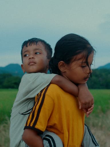 Poster du film Les Fleurs du manguier